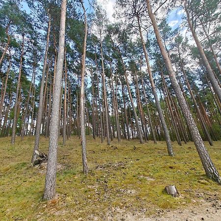 Lesna Ostoja W Centrum Puszczy Nadnoteckiej Otoczona 3 Jeziorami Miedzychod Екстериор снимка